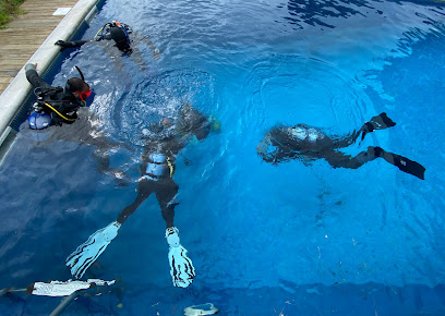 AZZURRO - Dive Academy | Azores, Dive School, Dive Center, Dive Professional Courses