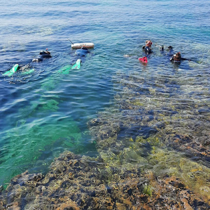 Snorkeling Lagos