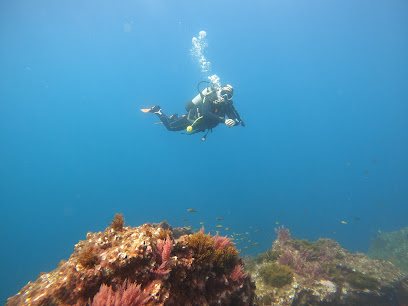 Best Spot Azores Dive Center