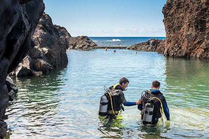 Lava Diving Center - diving in Madeira aquarium