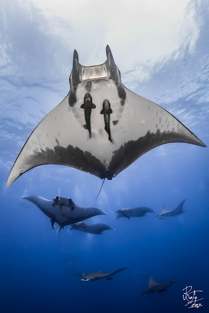 Haliotis Dive Center Santa Maria