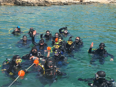 Aqua Mar Team