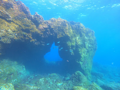 Fan Diving El Hierro