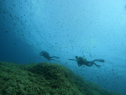 Petro Divers: Tauchen auf Mallorca