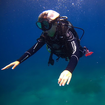 Albadive - Buceo y aventuras