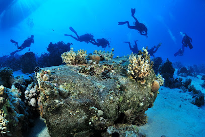Dofí Blau Club i Escola de Submarinisme
