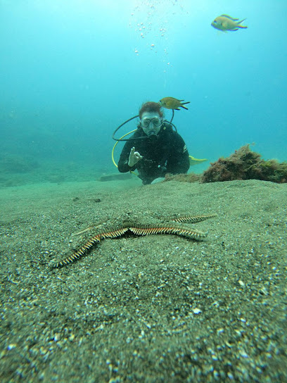 Lanzarote Dive Centre