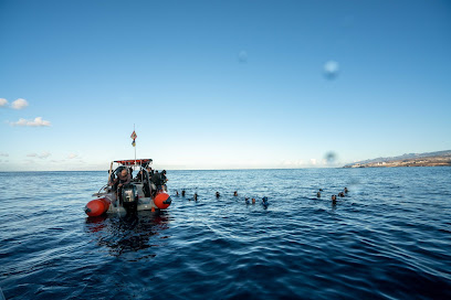 Apnea Life Tenerife - Freediving school