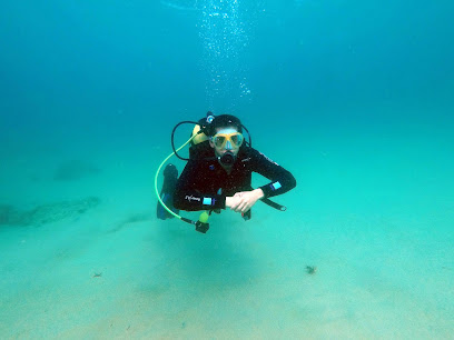 Oceanus Cádiz