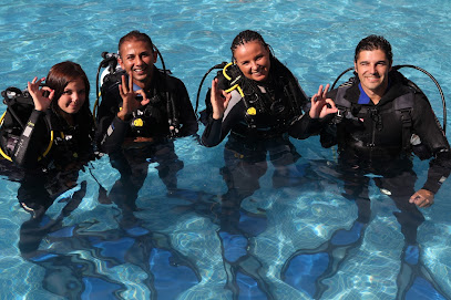 Delphinus Diving School