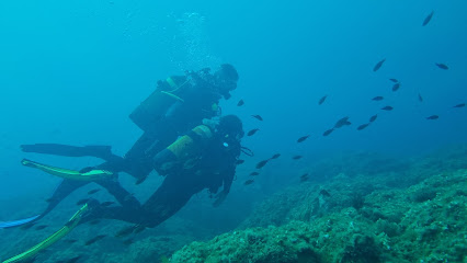 Divers Centre d'Immersions