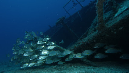 Dive Tenerife