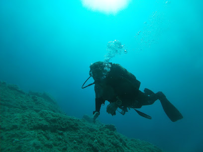 Blanes~Sub