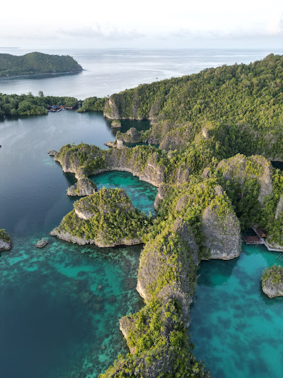 Plataforma del Buceo - Viajes de Buceo