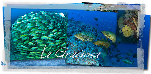 La Graciosa Diving