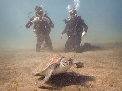 Medanodive - Tu centro de buceo en Tenerife sur