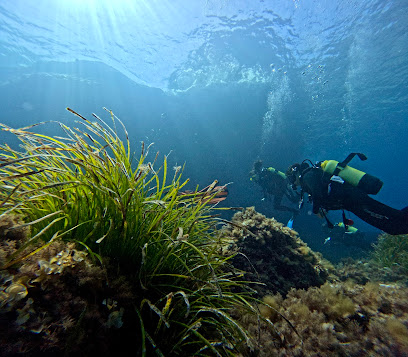 Albatros Diving