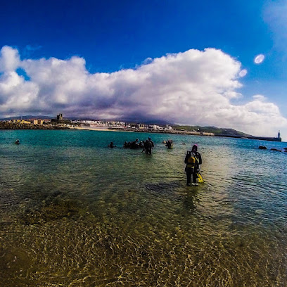 Puertobuceo