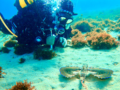 Buceo algeciras