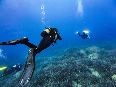 Norway Dive Mallorca - PADI 5 Star IDC Scuba Diving Center