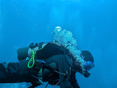 Pagaza Diving
