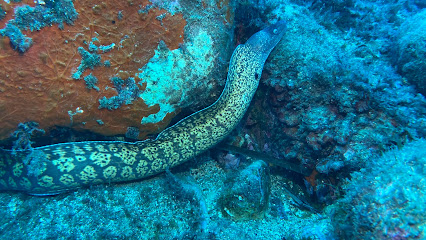 H2O Diving Center