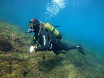 Buddha divers