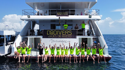 DSDIVERS