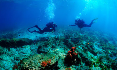 Bolonia diving centre