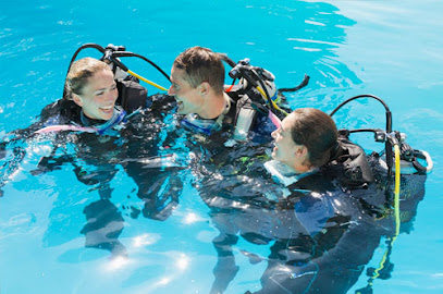 Bad Fish buceo
