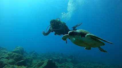 GPS Scuba Diving in Tenerife