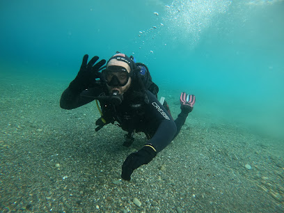 Diving Into the Blue
