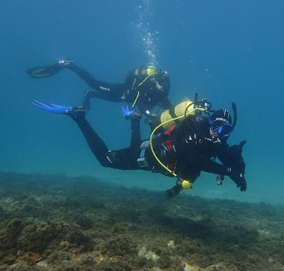 SeaHorse Diving