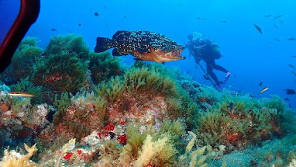 Diving Center Naranjito