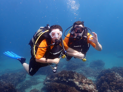 Dive! Dive! Dive!