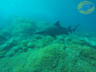 Arrecifal Centro de Buceo | Dive Center