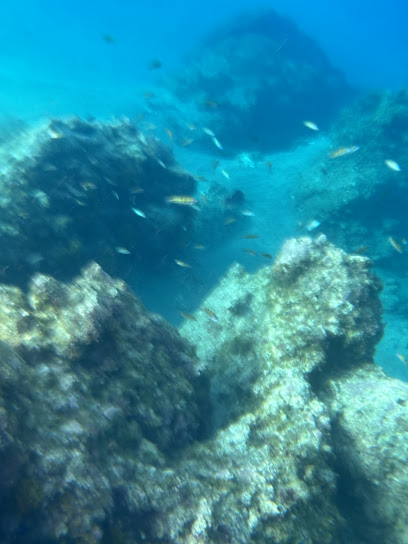 La Santa Diving