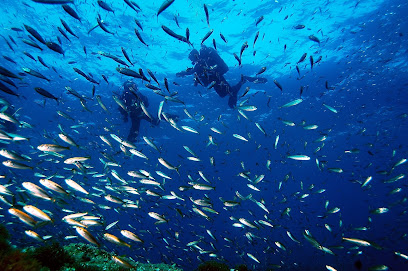 Planeta Azul Buceo y Naturaleza