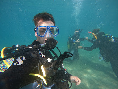 Diamond Dive Center Ocean Dreams Tenerife