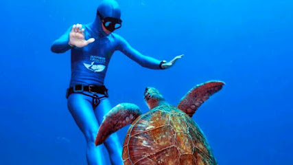 Apnea Canarias Tenerife, Freediving Center