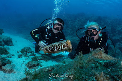Bonito Diving Lanzarote