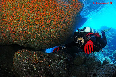 Sea Diver