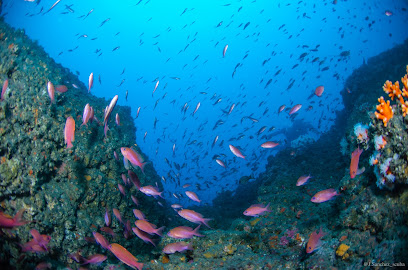 Escuela de Buceo Different Scuba School