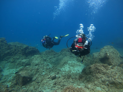 lanzarote private diving