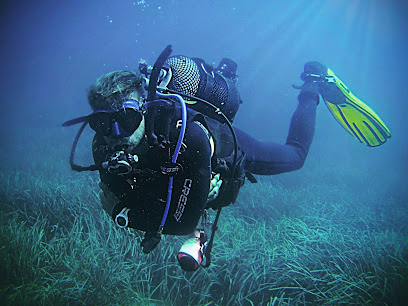 DIVE&DIVE Centre de Busseig