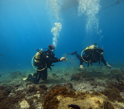 Club de Buceo Lebeta Sub