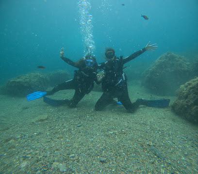Mero Mero Buceo