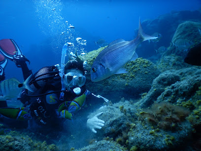 Buceo sur