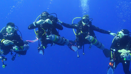 Blue Bottom Diving