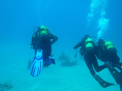 Calipso Diving